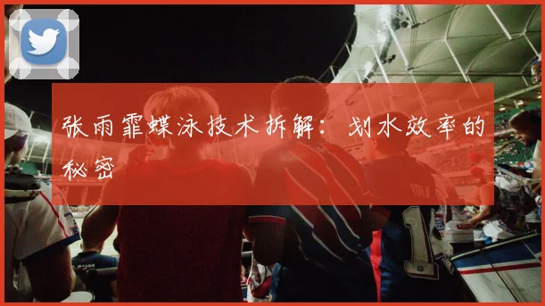 张雨霏蝶泳技术拆解：划水效率的秘密