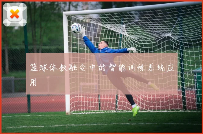 篮球体教融合中的智能训练系统应用