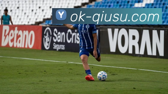 球速平台生态图